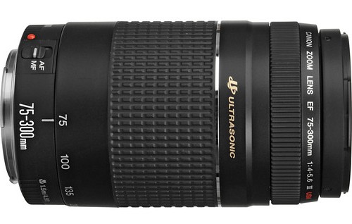 Canon EF 75-300mm f/4.0-5.6 III USM Lens | Digital Photography Live