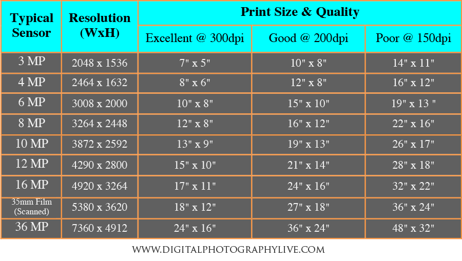 megapixels-vs-print-size-how-big-can-you-print-digital